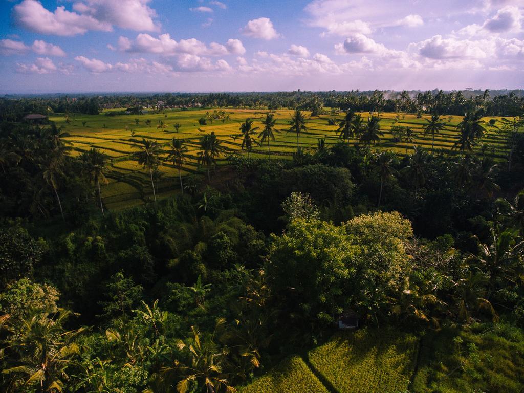 B Saya Villas Ubud Exteriér fotografie