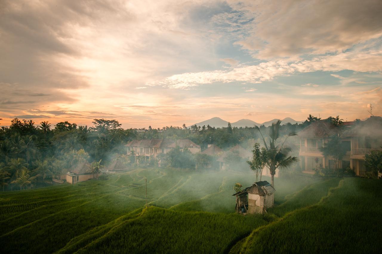 B Saya Villas Ubud Exteriér fotografie