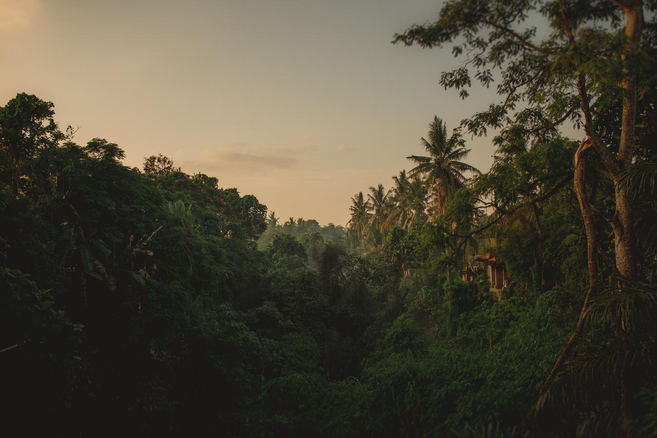 B Saya Villas Ubud Exteriér fotografie